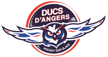 Partenaire des Ducs d'Angers